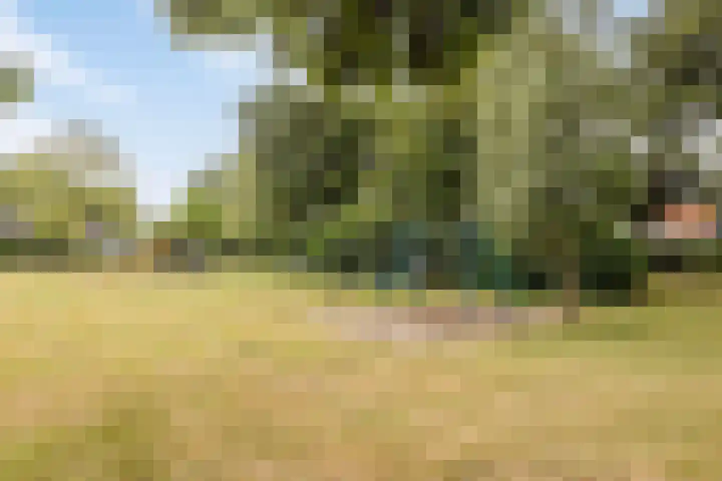 Buurtweg 147 Stavenisse thumbnail 53