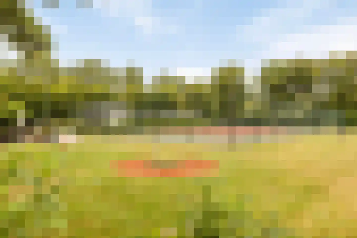 Buurtweg 147 Stavenisse thumbnail 57