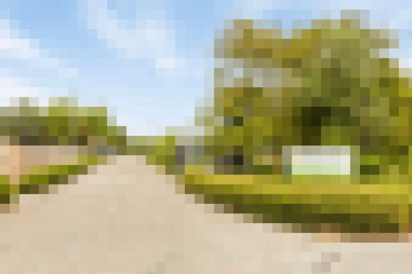Buurtweg 147 Stavenisse thumbnail 59
