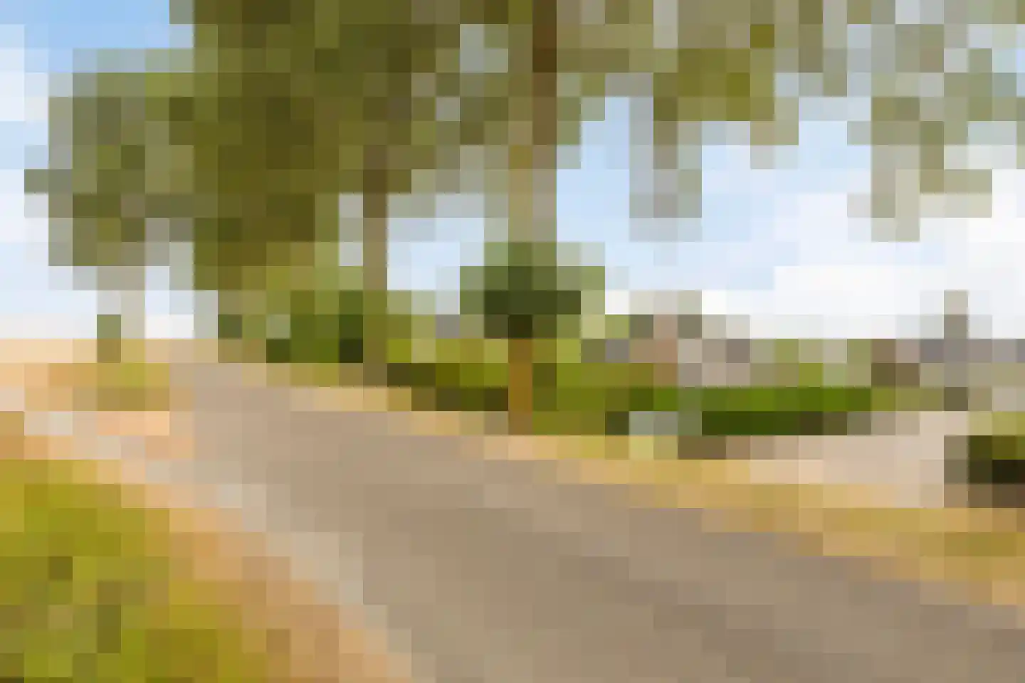Buurtweg 147 Stavenisse thumbnail 60