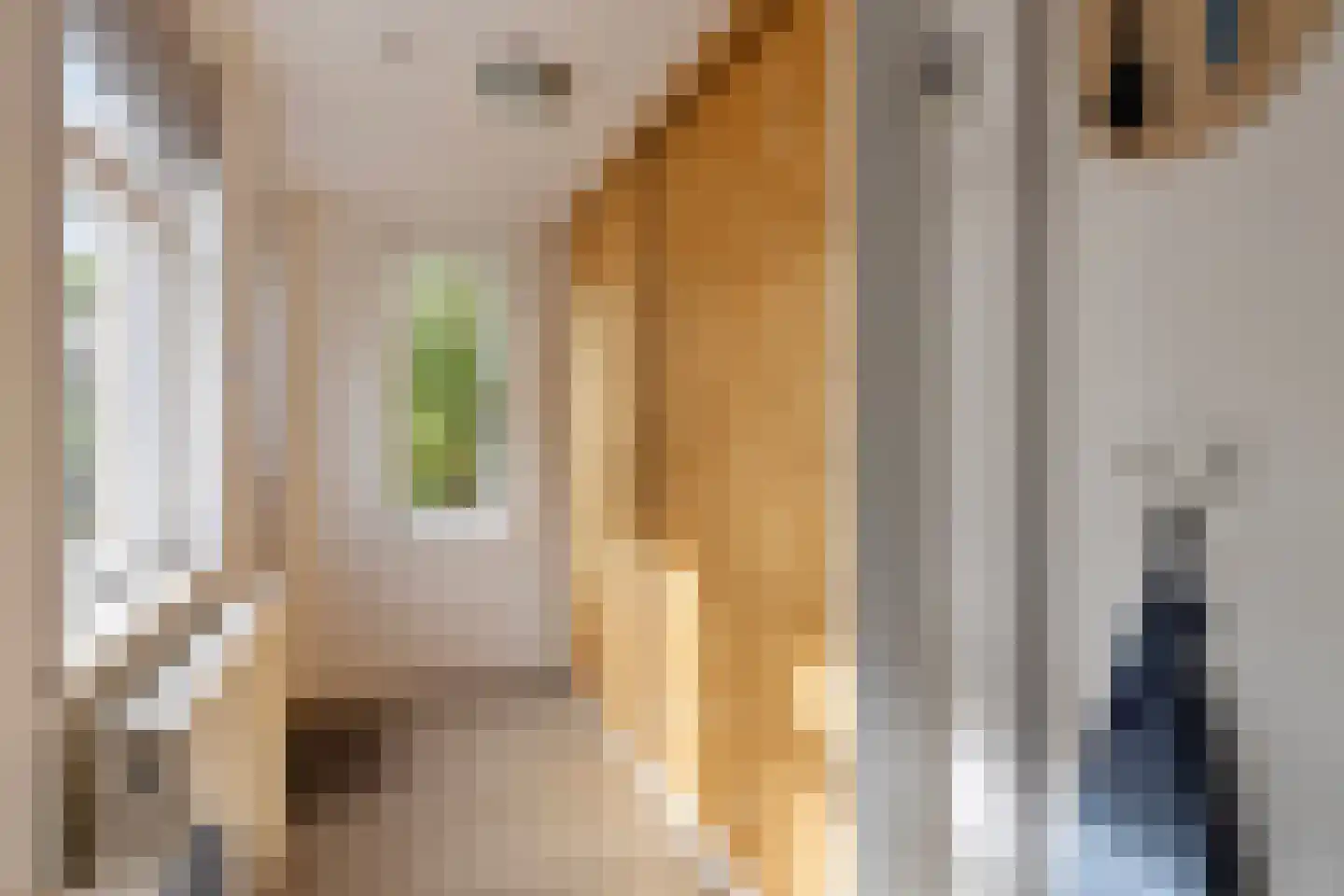 Buurtweg 147 Stavenisse thumbnail 7