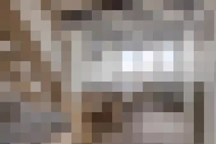 Buurtweg 157 Stavenisse thumbnail 30