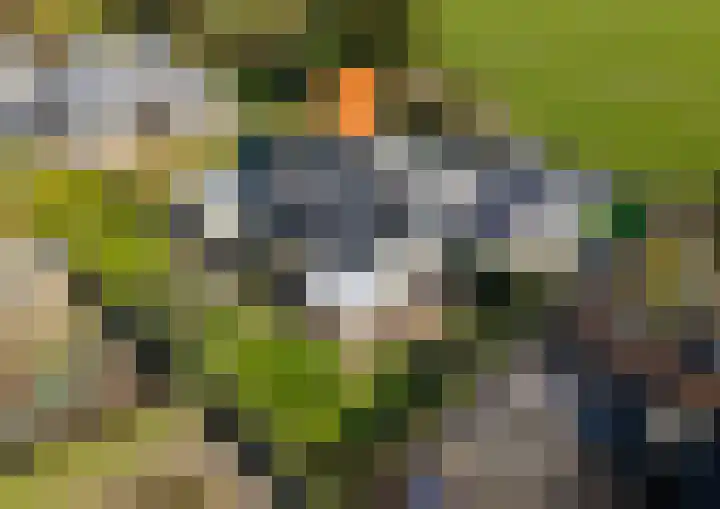Buurtweg 157 Stavenisse thumbnail 36