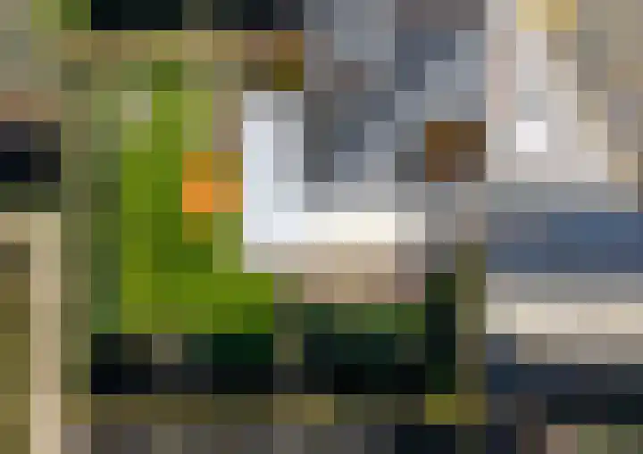 Buurtweg 157 Stavenisse thumbnail 37