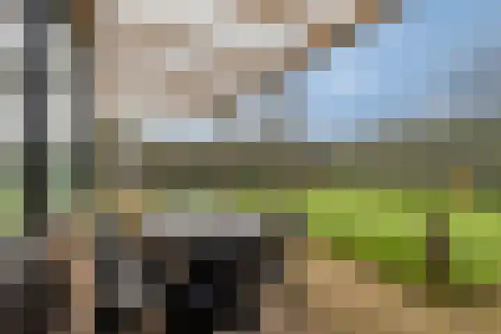 Buurtweg 157 Stavenisse thumbnail 38