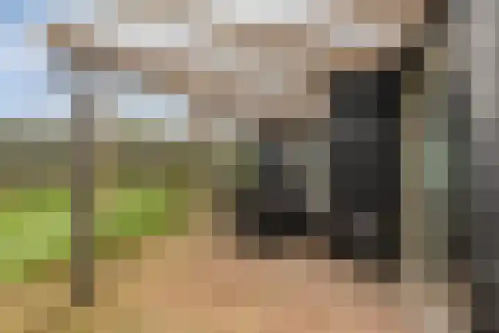 Buurtweg 157 Stavenisse thumbnail 39