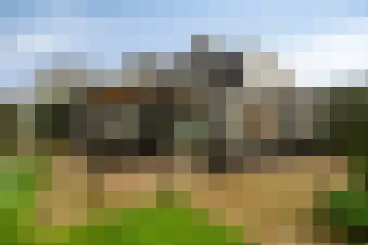Buurtweg 157 Stavenisse thumbnail 4