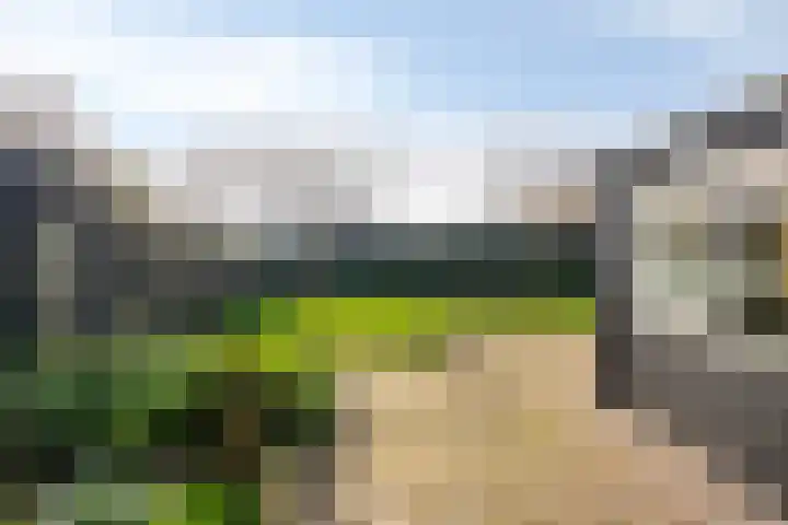 Buurtweg 157 Stavenisse thumbnail 40