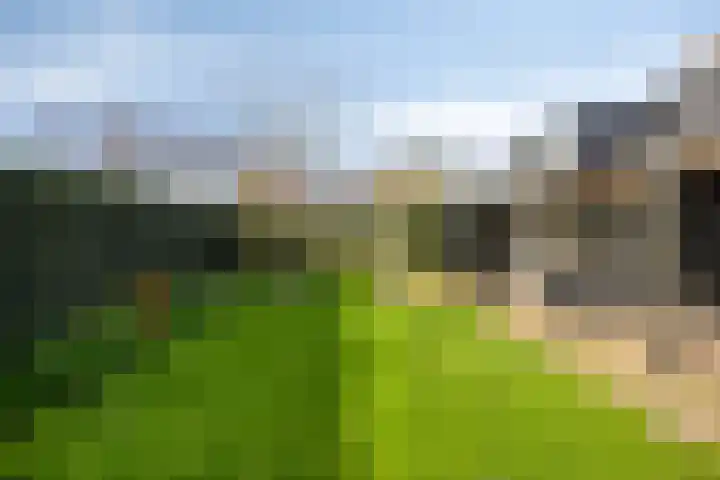Buurtweg 157 Stavenisse thumbnail 41