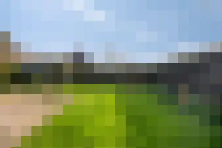 Buurtweg 157 Stavenisse thumbnail 42