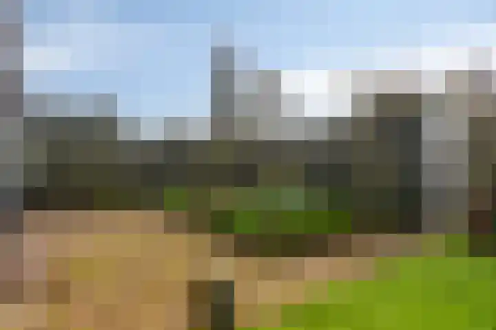 Buurtweg 157 Stavenisse thumbnail 43
