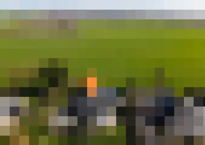 Buurtweg 157 Stavenisse thumbnail 45