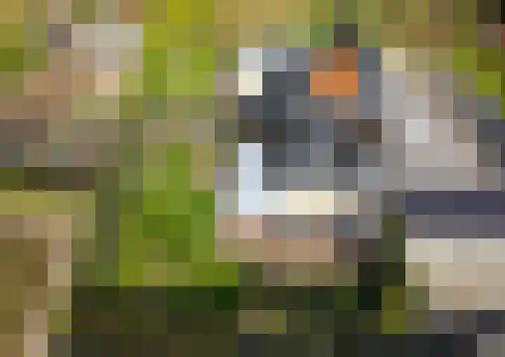 Buurtweg 157 Stavenisse thumbnail 46