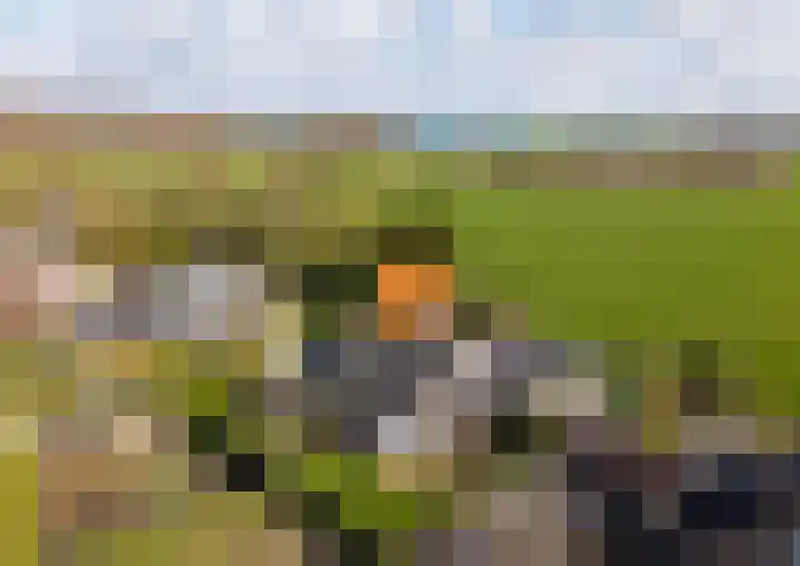 Buurtweg 157 Stavenisse thumbnail 47
