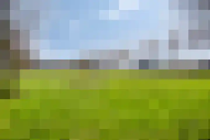 Buurtweg 157 Stavenisse thumbnail 48