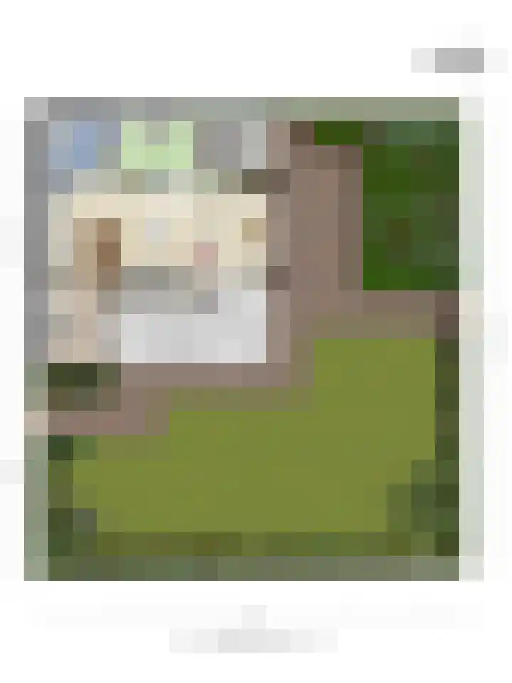 Buurtweg 157 Stavenisse thumbnail 54