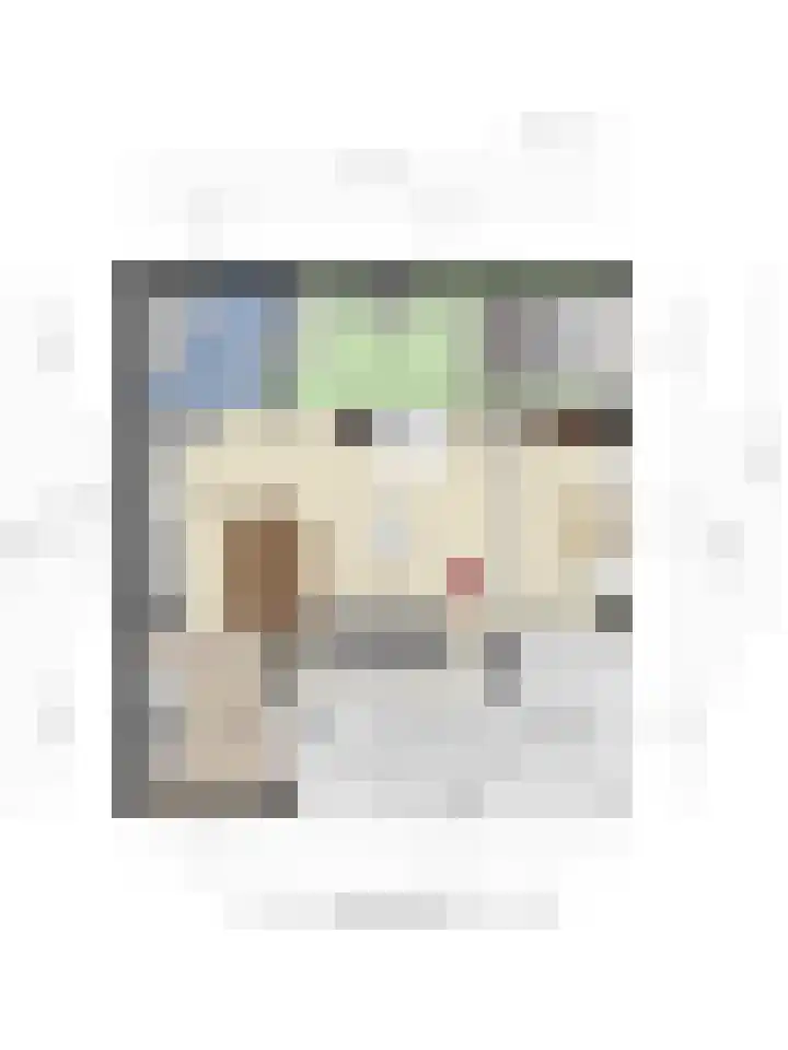Buurtweg 157 Stavenisse thumbnail 55