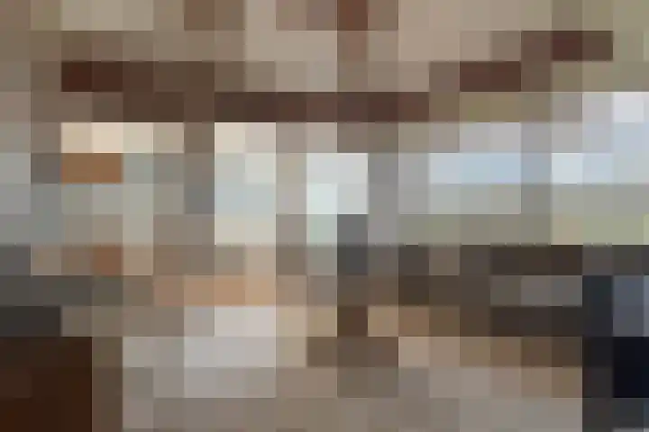 Buurtweg 157 Stavenisse thumbnail 8