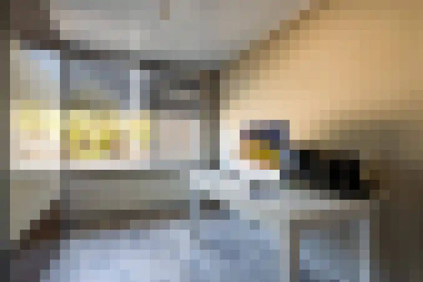 Buurtweg 16 Halsteren thumbnail 20