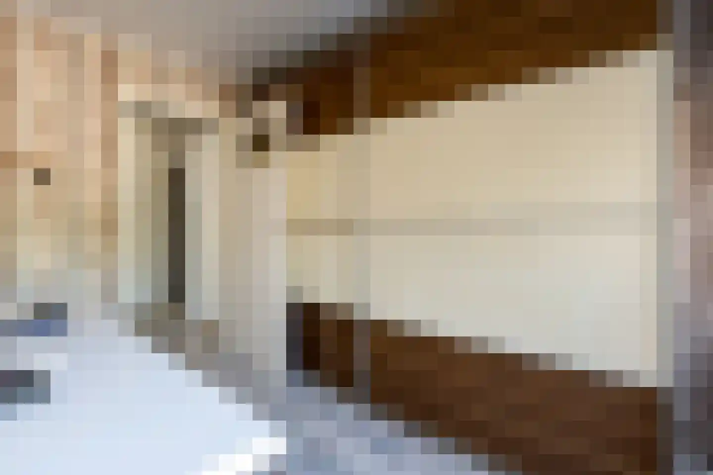 Buurtweg 16 Halsteren thumbnail 21