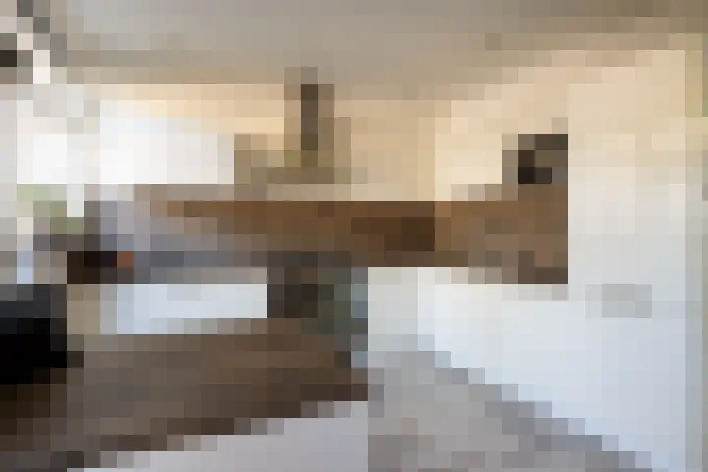 Buurtweg 16 Halsteren thumbnail 7