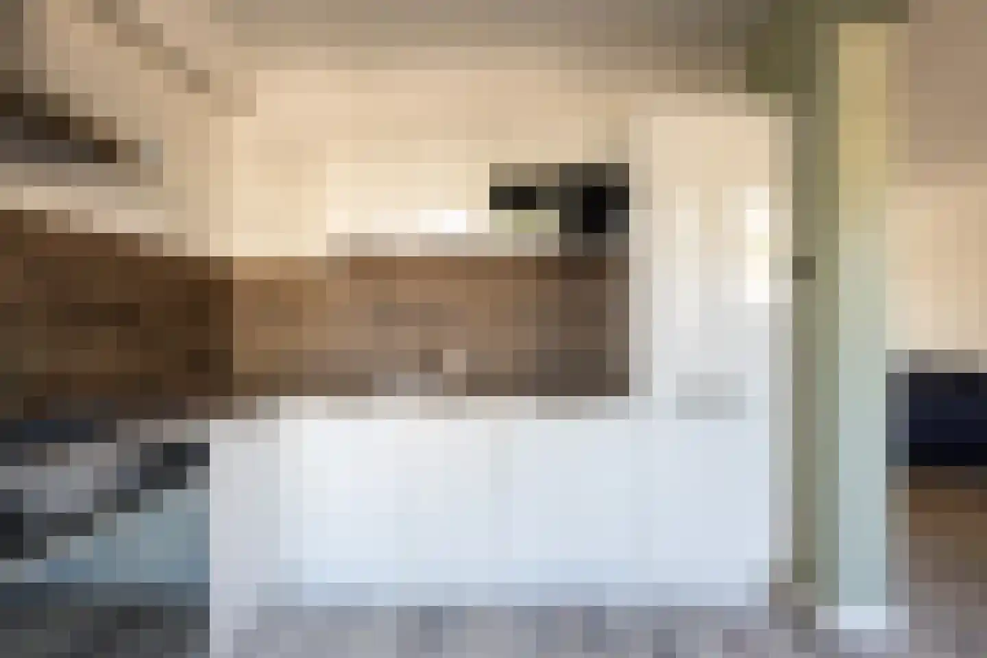 Buurtweg 16 Halsteren thumbnail 9