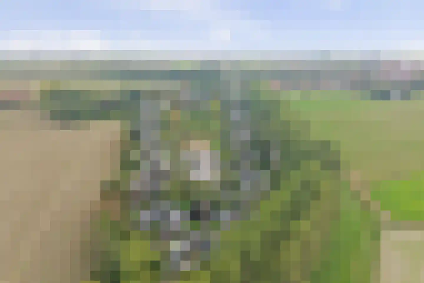 Buurtweg 167 Stavenisse thumbnail 33