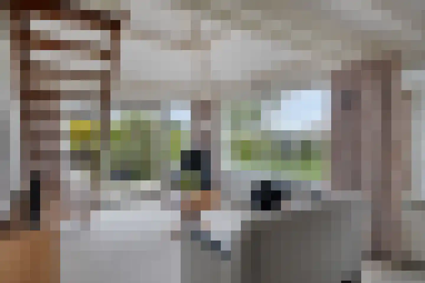 Buurtweg 177 Stavenisse thumbnail 12