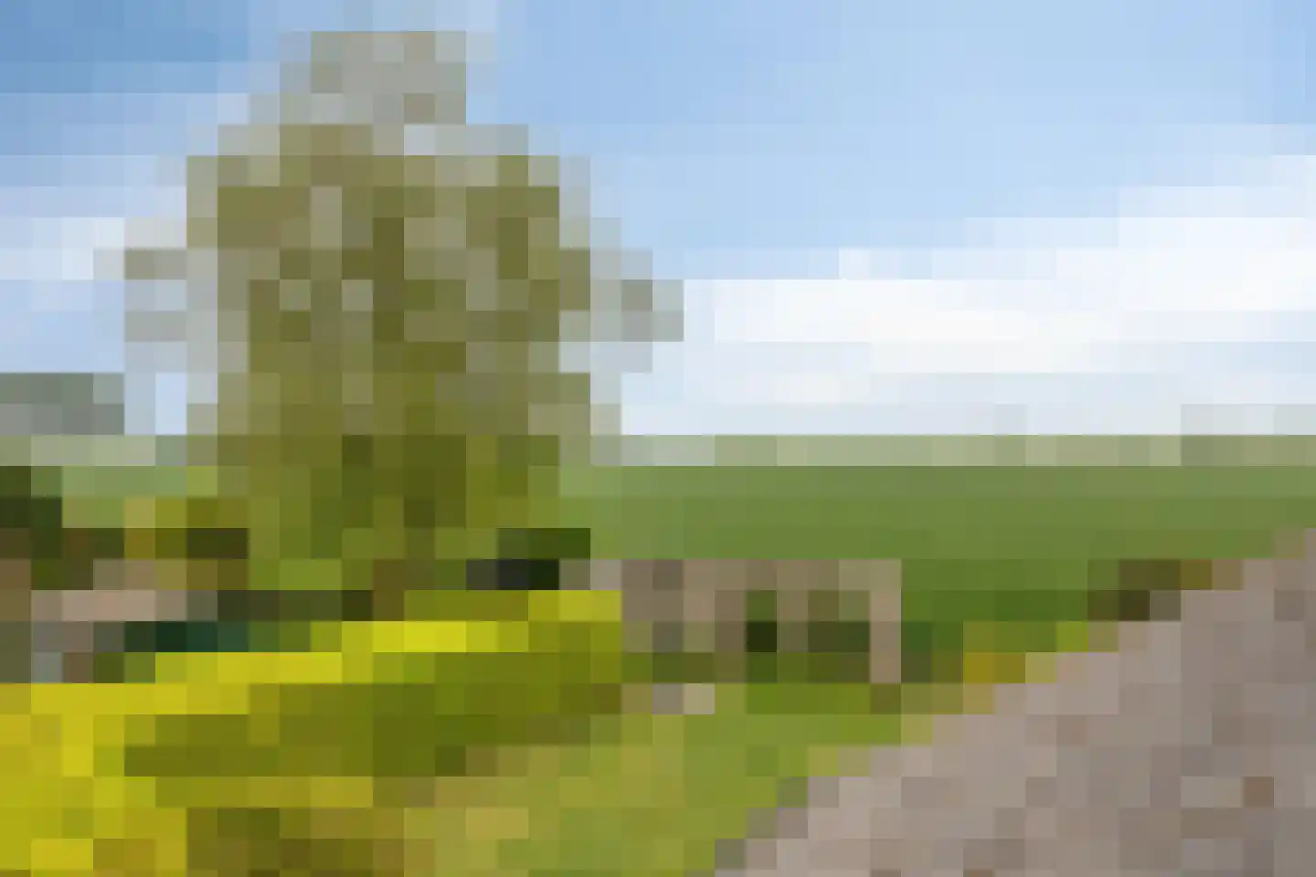 Buurtweg 177 Stavenisse thumbnail 33
