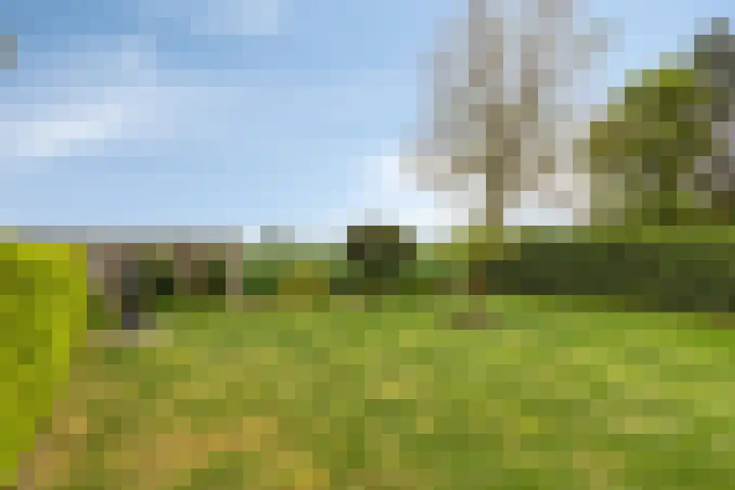 Buurtweg 177 Stavenisse thumbnail 37