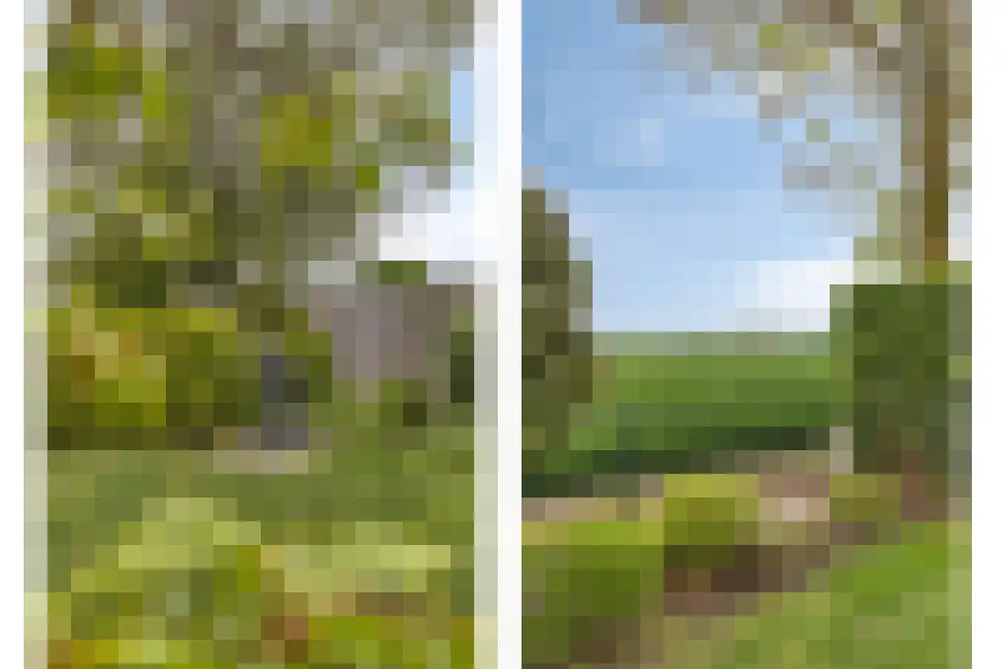 Buurtweg 177 Stavenisse thumbnail 38