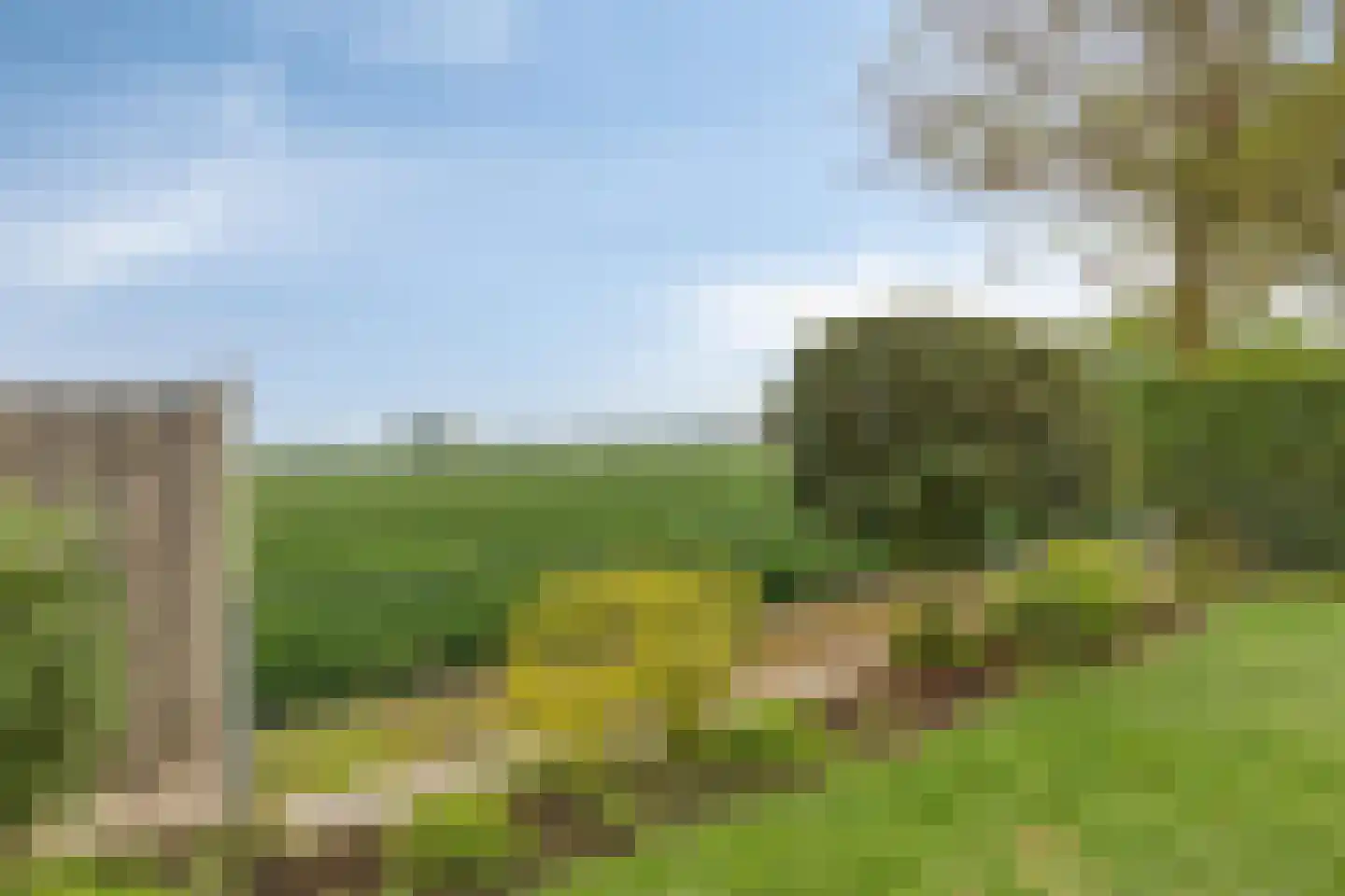 Buurtweg 177 Stavenisse thumbnail 39
