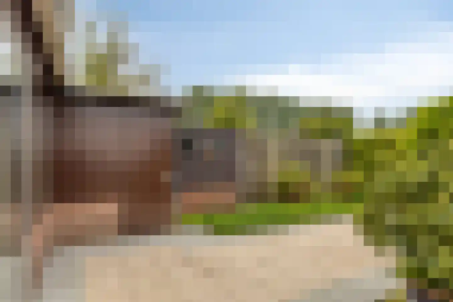 Buurtweg 177 Stavenisse thumbnail 41