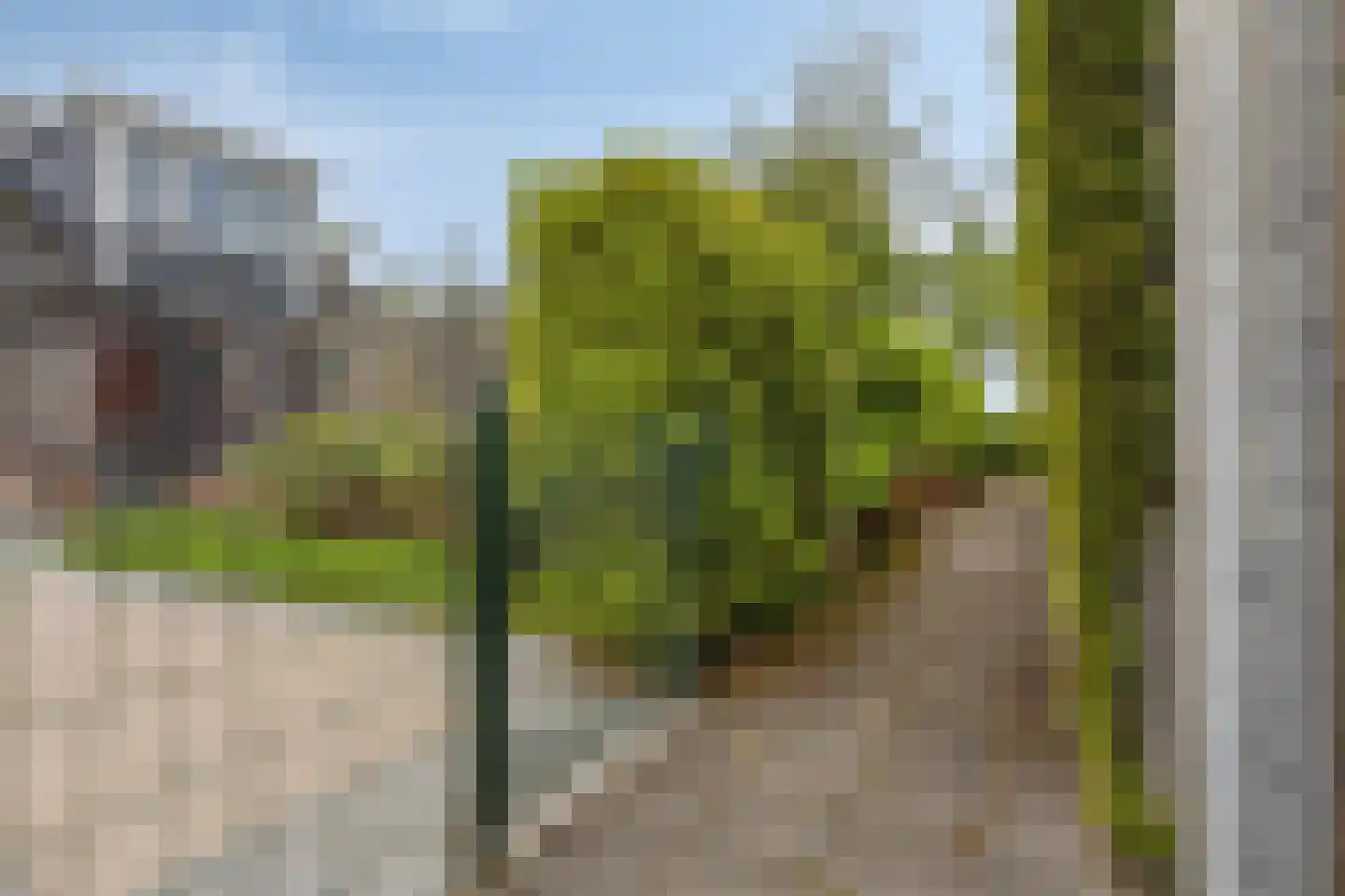 Buurtweg 177 Stavenisse thumbnail 43