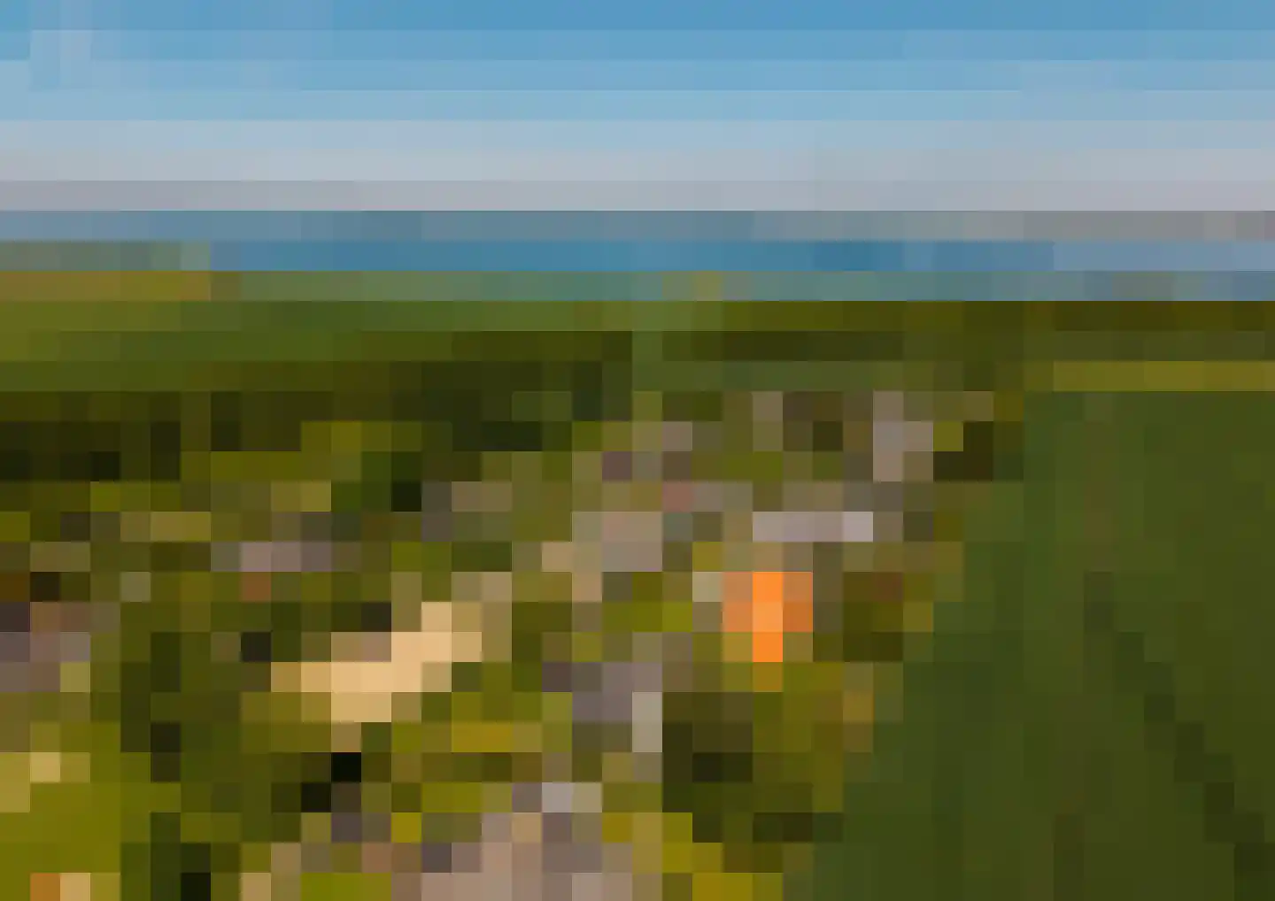 Buurtweg 177 Stavenisse thumbnail 47