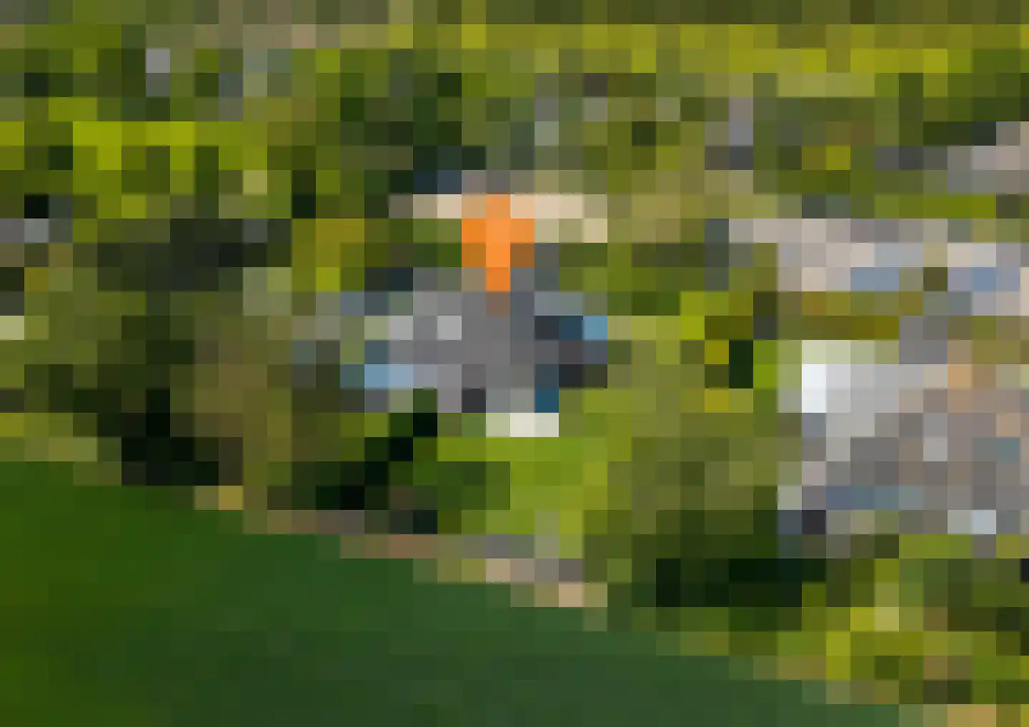 Buurtweg 177 Stavenisse thumbnail 7