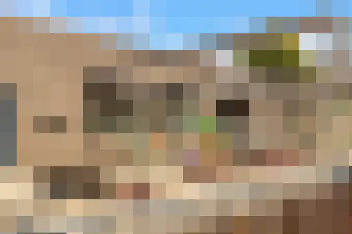 Buurtweg 18 e Akersloot thumbnail 33