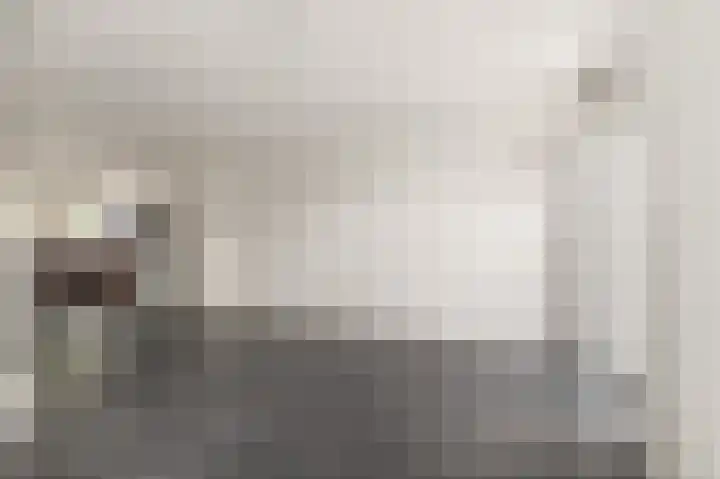 Buurtweg 18 e Akersloot thumbnail 7