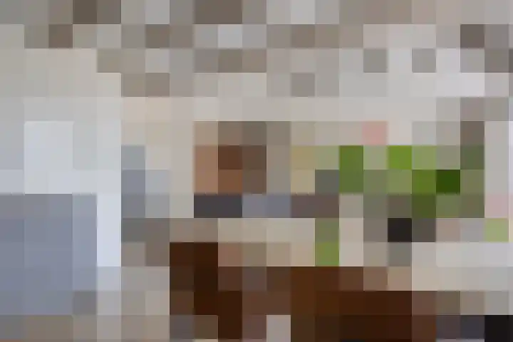Buurtweg 189 Stavenisse thumbnail 11