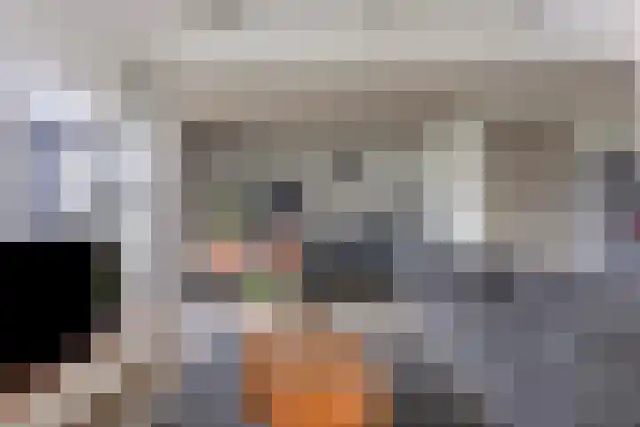Buurtweg 189 Stavenisse thumbnail 12
