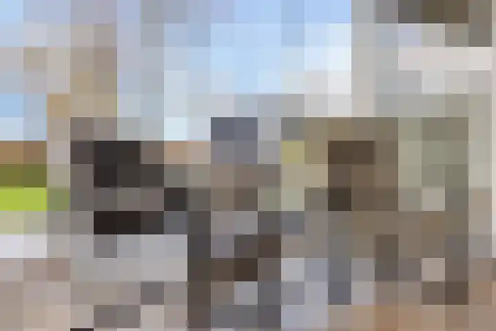 Buurtweg 189 Stavenisse thumbnail 20