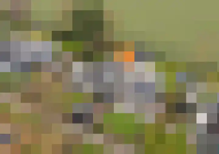 Buurtweg 189 Stavenisse thumbnail 31