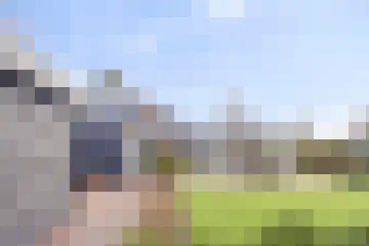Buurtweg 189 Stavenisse thumbnail 32