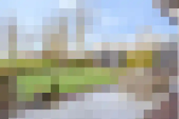 Buurtweg 189 Stavenisse thumbnail 36