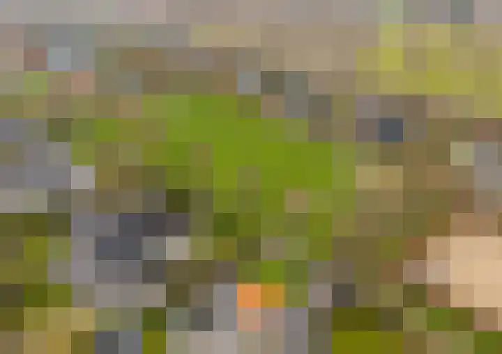 Buurtweg 189 Stavenisse thumbnail 38