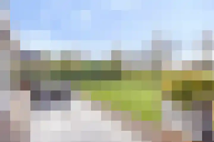 Buurtweg 189 Stavenisse thumbnail 39