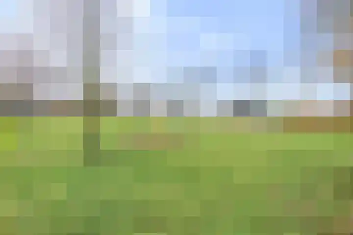 Buurtweg 189 Stavenisse thumbnail 42