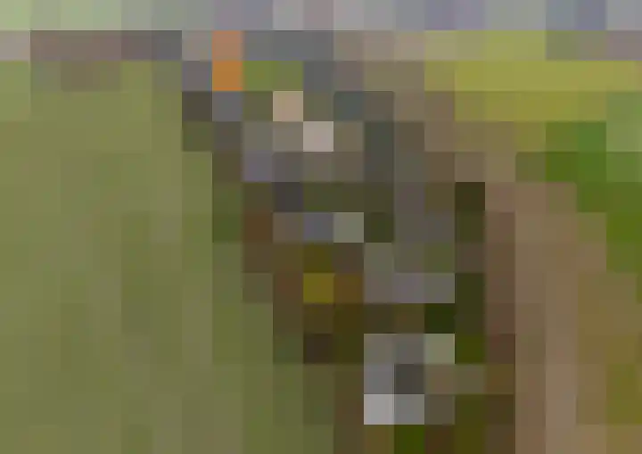 Buurtweg 189 Stavenisse thumbnail 45