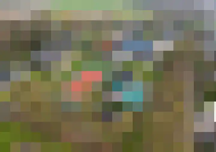 Buurtweg 189 Stavenisse thumbnail 46