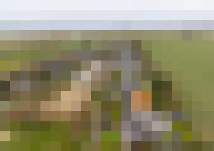 Buurtweg 189 Stavenisse thumbnail 47